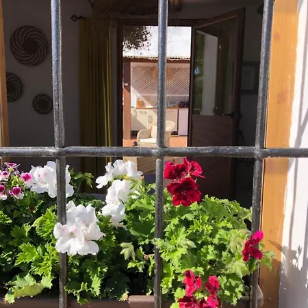 Casa La Alegria 37 Bed & Breakfast