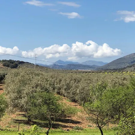 Casa La Alegria 37 Bed & Breakfast