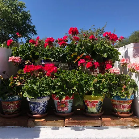 Casa La Alegria 37 Bed & Breakfast 4*